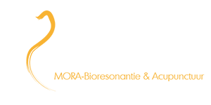 Marlies Alferink